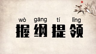 握纲提领