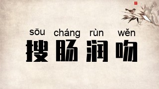 搜肠润吻