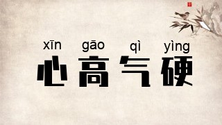 心高气硬