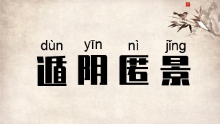 遁阴匿景