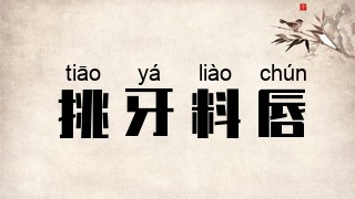 挑牙料唇