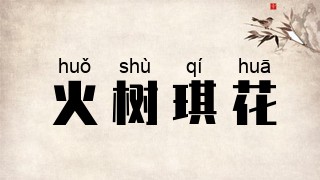 火树琪花