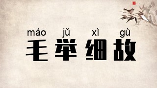 毛举细故