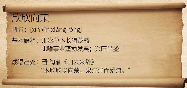 欣欣向荣