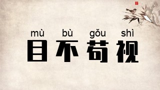 目不苟视