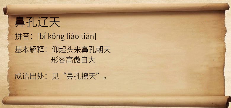 鼻孔辽天