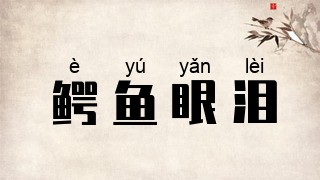 鳄鱼眼泪
