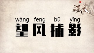 望风捕影