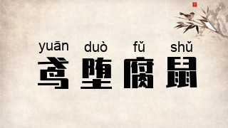 鸢堕腐鼠