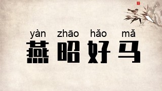 燕昭好马