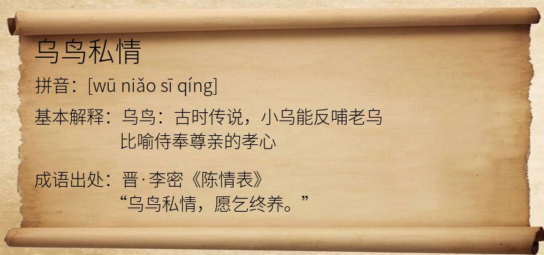 乌鸟私情