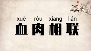 血肉相联