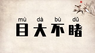 目大不睹