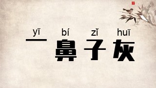 一鼻子灰