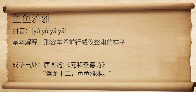 鱼鱼雅雅