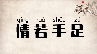 情若手足