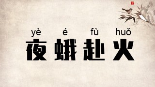 夜蛾赴火