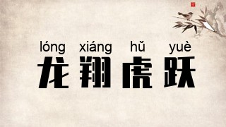 龙翔虎跃