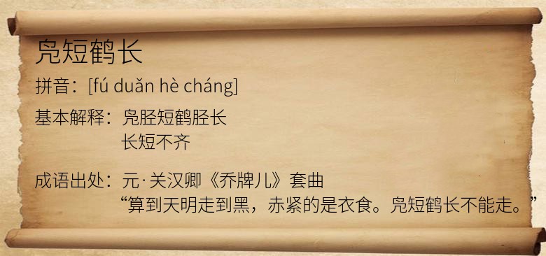 凫短鹤长