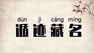 遁迹藏名
