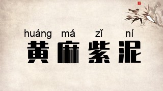 黄麻紫泥