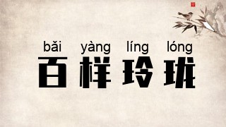 百样玲珑