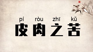 皮肉之苦