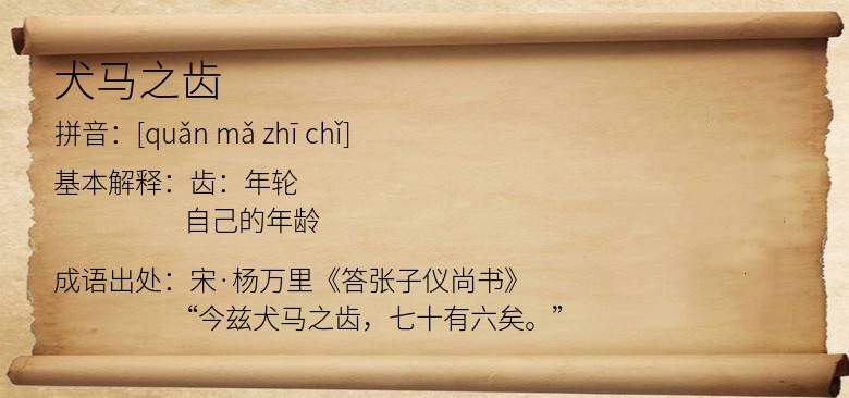 犬马之齿