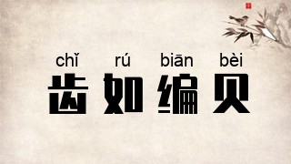齿如编贝