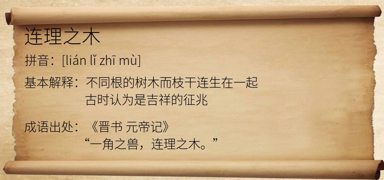 连理之木