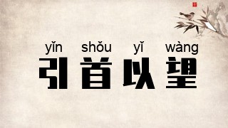 引首以望