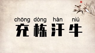 充栋汗牛