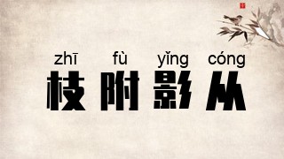 枝附影从