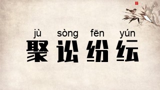 聚讼纷纭