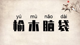 榆木脑袋