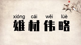 雄材伟略