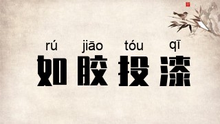 如胶投漆
