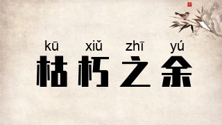 枯朽之余