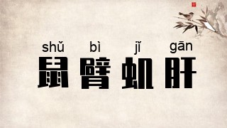 鼠臂虮肝