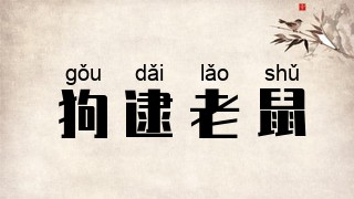狗逮老鼠