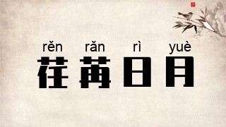 荏苒日月