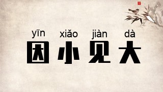因小见大