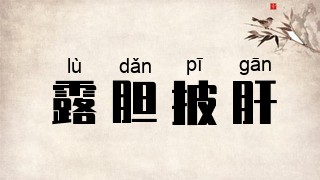 露胆披肝