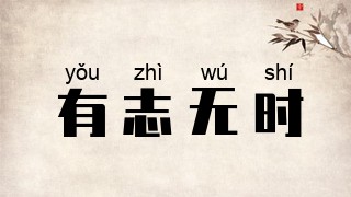 有志无时