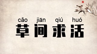 草间求活