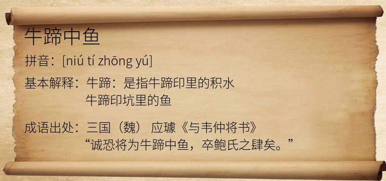 牛蹄中鱼