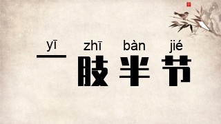 一肢半节