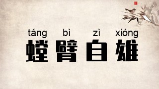 螳臂自雄