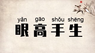 眼高手生