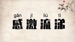 感激流涕